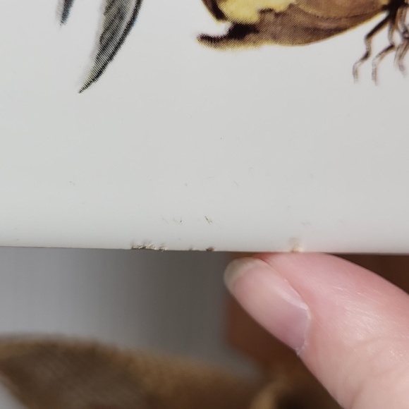 Vintage Wrought Iron and Ceramic Tile Trivet Fish and Eggs - Picture 15 of 16